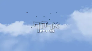 צבי וייס ירדוף וישיג: "ארדוף"
