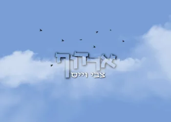 צבי וייס – "ארדוף"