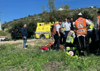 צוותי הצלה בזירת הפגיעה בהולך הרגל