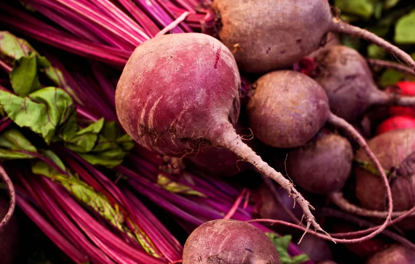 כל הרעיונות מה אפשר לעשות עם סלק אדום כל הרעיונות מה אפשר לעשות עם סלק אדום