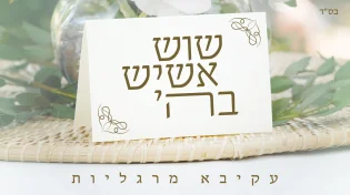 שיר החתונה השמח של עקיבא מרגליות: "שוש אשיש"