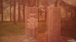 הבטחת הצדיק: כל מי שיקרא מספרו, יגשים את משאלות ליבו