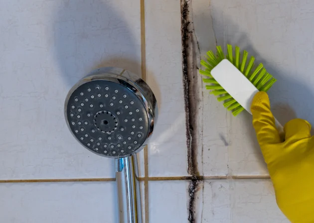 טריק להסרת עובש מהמקלחת שכולם צריכים לנסות טריק להסרת עובש מהמקלחת שכולם צריכים לנסות