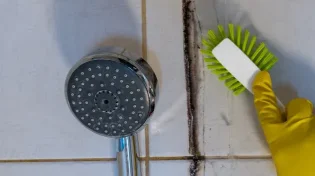 הטיפ שמשגע את הרשת: כך מסירים עובש מאריחי המקלחת 