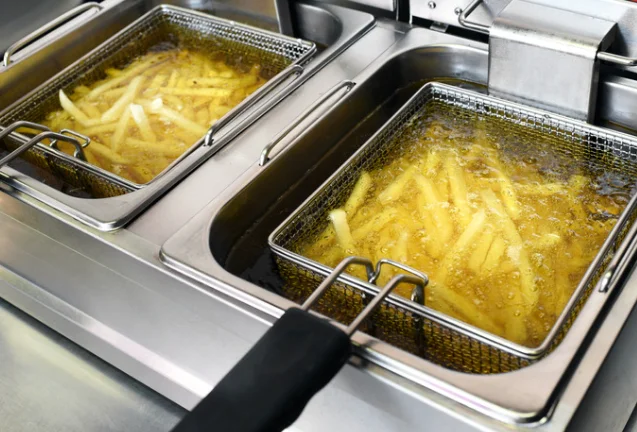 זו הסיבה שאסור לצרוך צ'יפס ופלאפל בחוץ 