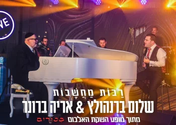 שלום ברנהולץ ואריה ברונר - ״רבות מחשבות״