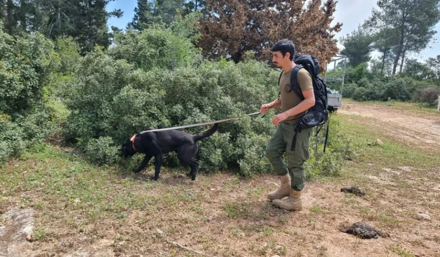הנעדר איתמר שלזינגר