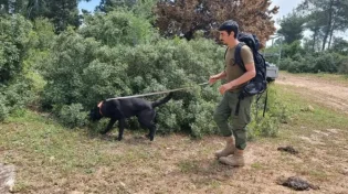 חצי שנה להיעלמותו: חיפושים אחר הנעדר איתמר שלזינגר
