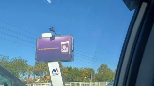 לבער את החמץ מתוכנו: פרסום מיסיונרי על שלטי חוצות
