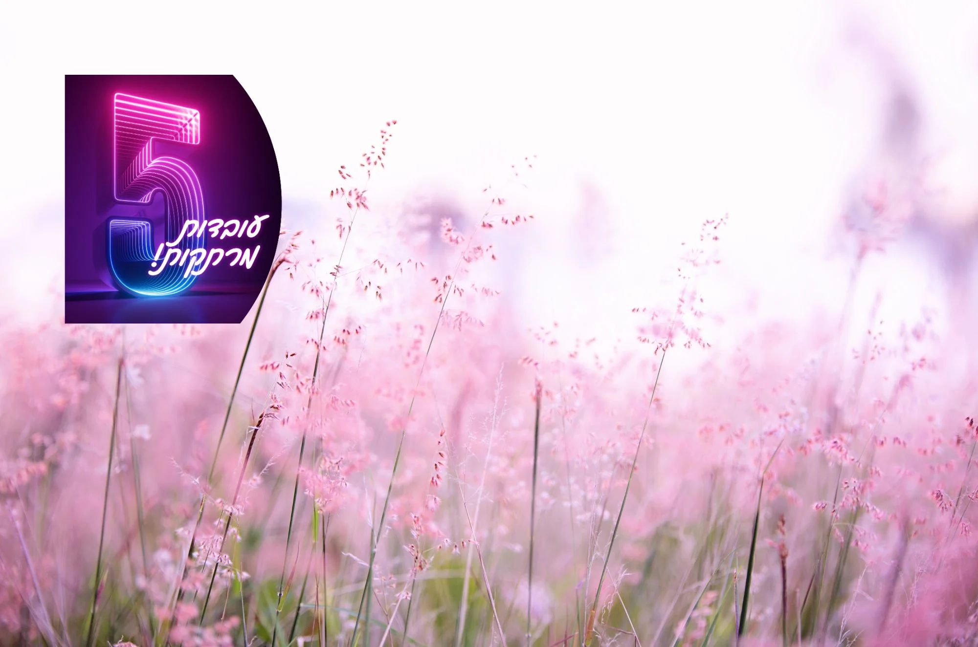 5 עובדות מדהימות על פרחים שאולי לא ידעתם 