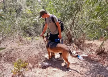 החיפושים אחר הנעדר דביר שושנה.