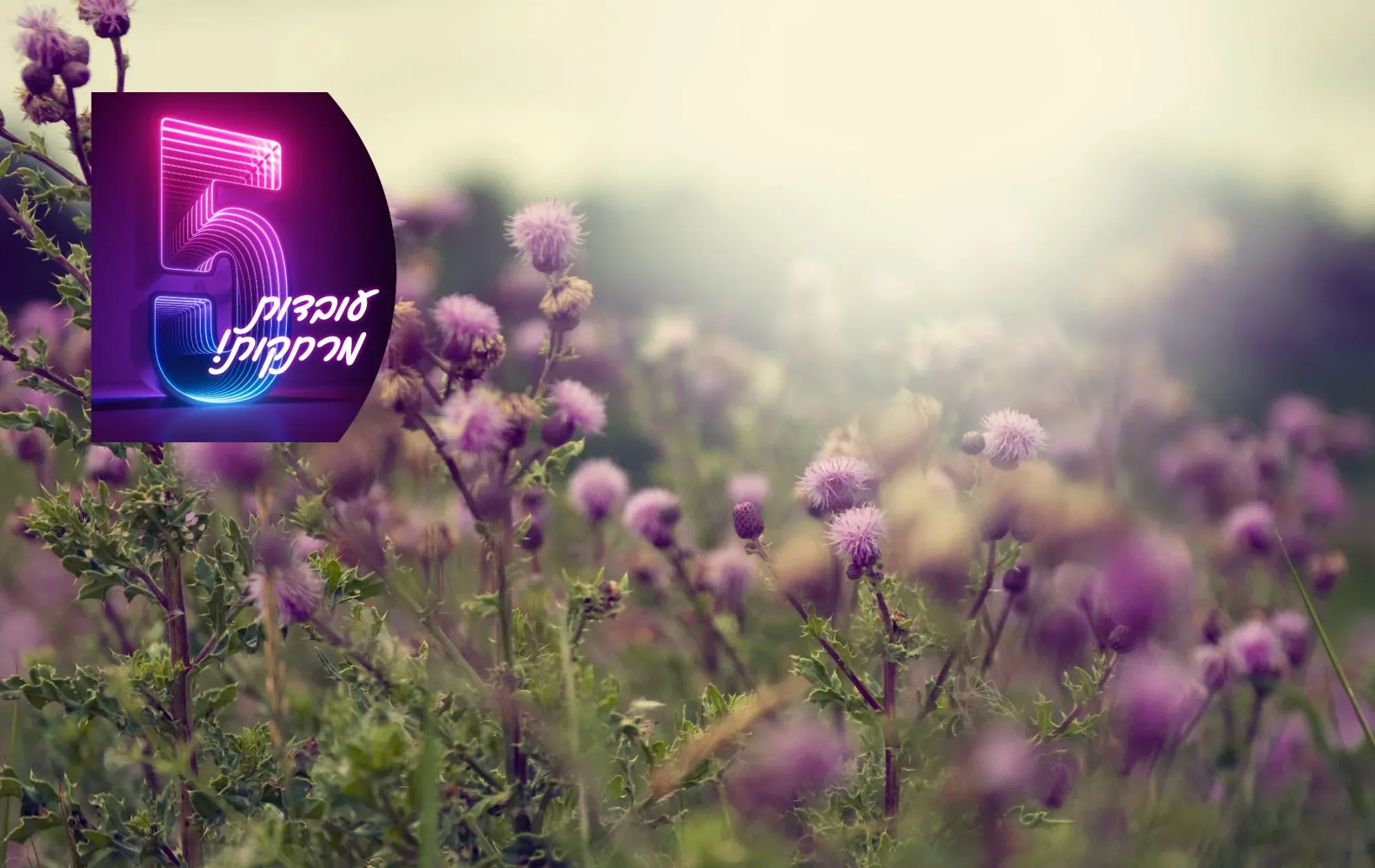 5 עובדות מרתקות נוספות על פרחים, שאולי לא הכרתם 5 עובדות מרתקות נוספות על פרחים, שאולי לא הכרתם