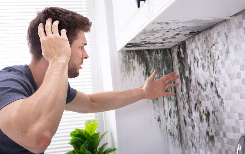 איך מעלימים ריח של עובש מקירות? קלי קלות 