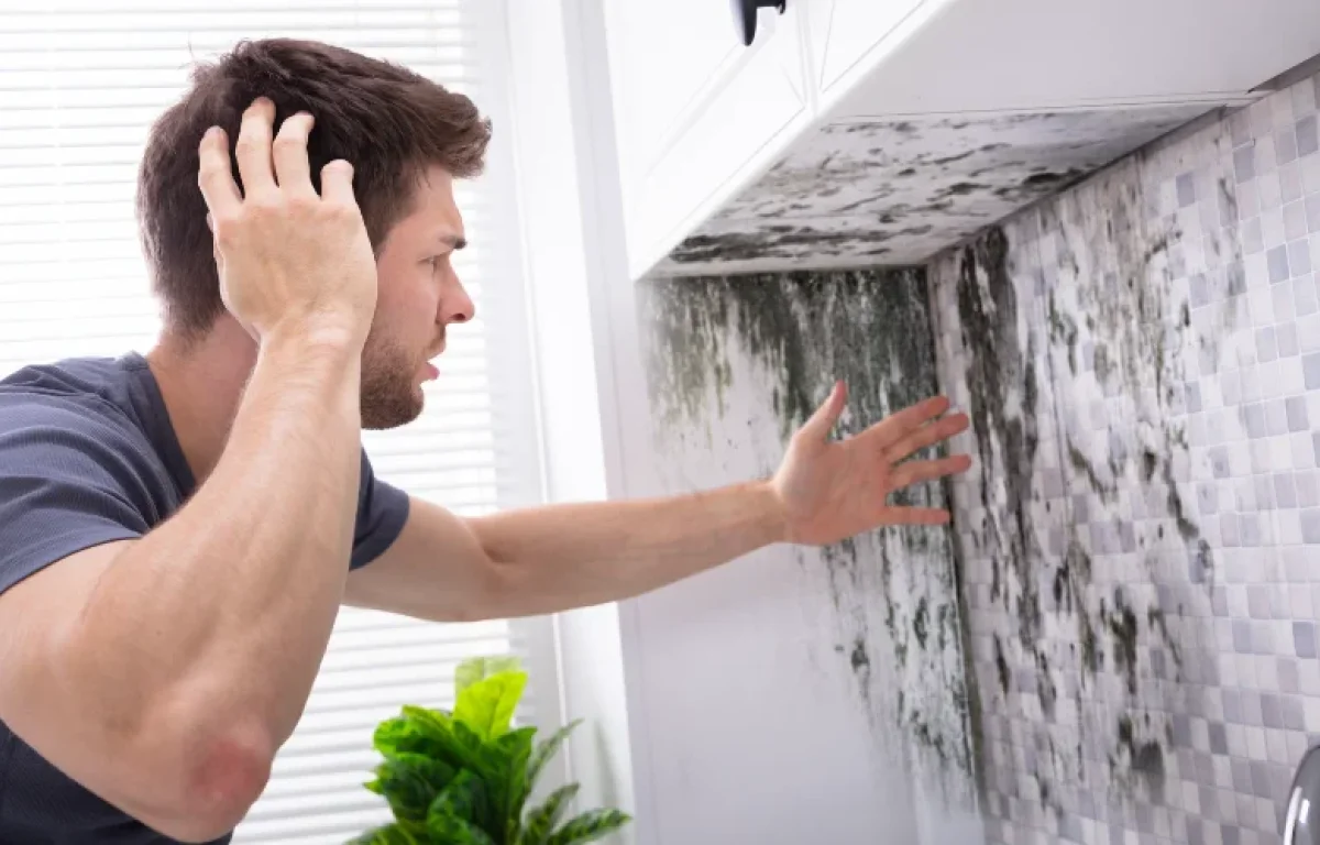 איך מעלימים ריח של עובש מקירות? קלי קלות איך מעלימים ריח של עובש מקירות? קלי קלות