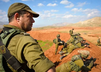 תת אלוף עופר וינטר. "קצין שדה מצטיין". 