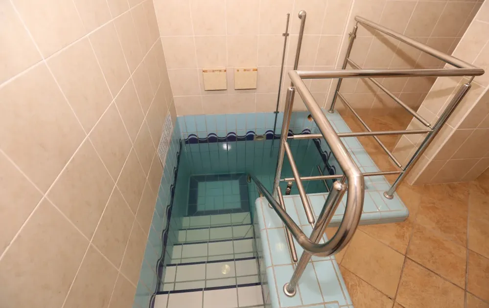 זמן בדיקות שבעה נקיים?