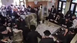 ההילולה בקרעסטיר: כך זה נראה בשלוש דקות