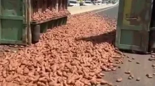 המשאית הענקית התהפכה והכביש הפך לכתום