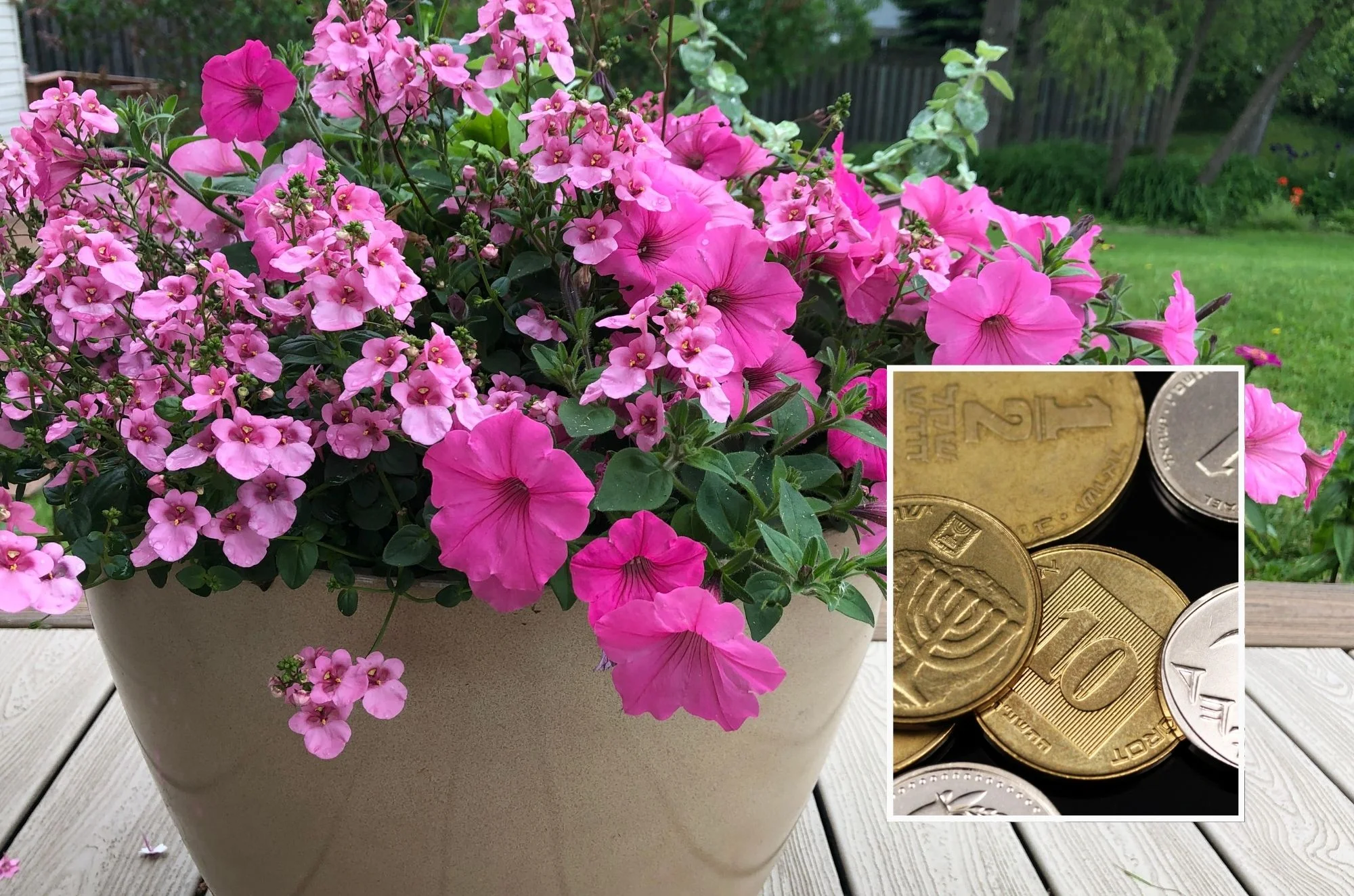 הרשת מתלהבת: מה אפשר לעשות עם מטבע של 10 אגורות?