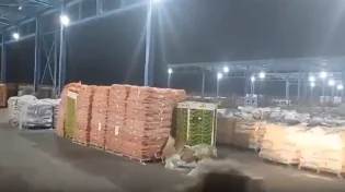 לא רק הומניטרי: הפינוקים שמקבלים תושבי עזה