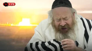 תפילת המונים למען החטופים עם הרב יעקב עדס בשידור חי