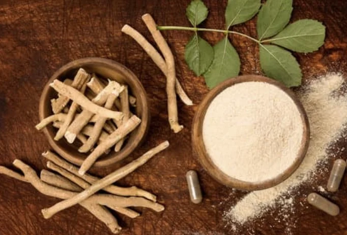 נדודי שינה? זה הצמח שישפר לכם את איכות השינה נדודי שינה? זה הצמח שישפר לכם את איכות השינה