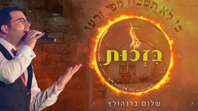 שלום ברנהולץ בלהיט חדש: "בזכות"