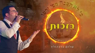 שלום ברנהולץ בלהיט חדש: "בזכות"