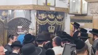 זכותו תגן עלינו: שירי רגש בציון רשב"י