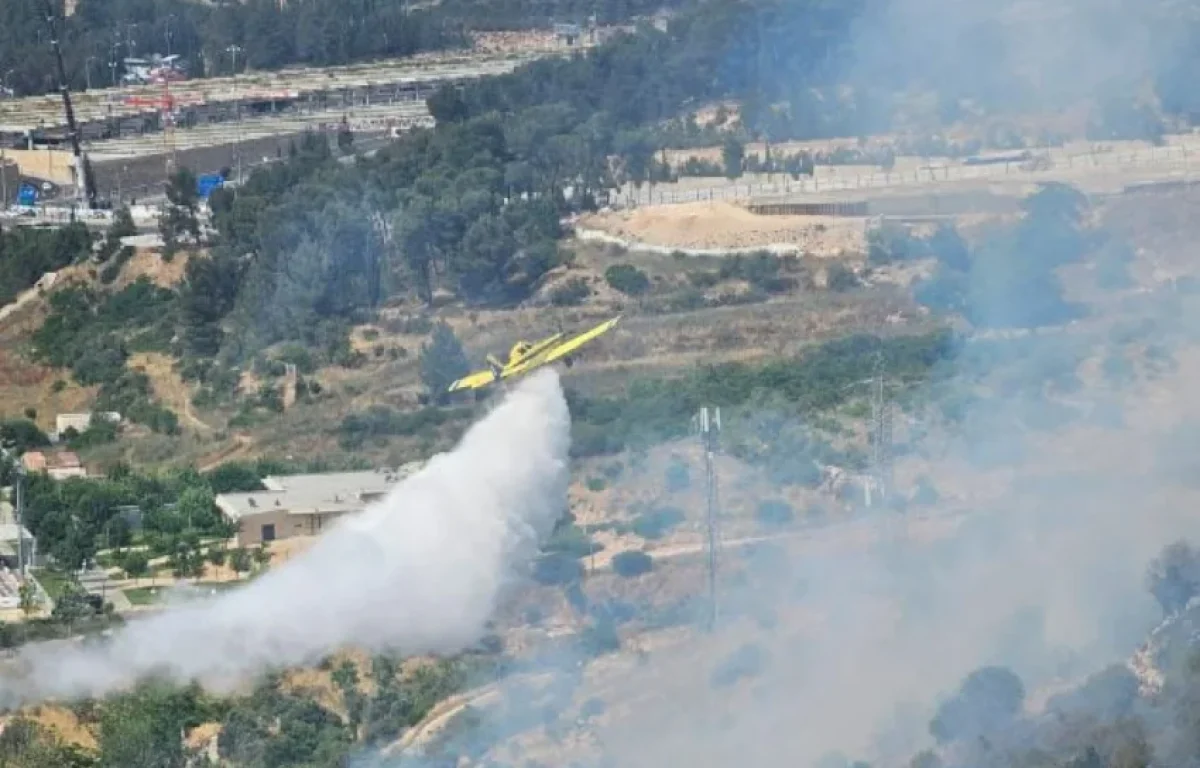 שריפת חורש בירושלים