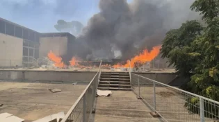 שריפת חורש בירושלים התפשטה למוזיאון ישראל