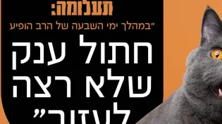 תעלומה: "במהלך ימי השבעה הופיע חתול שלא רצה לעזוב"