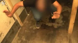 17 שב"חים נתפסו במשאית בדרכם לירושלים