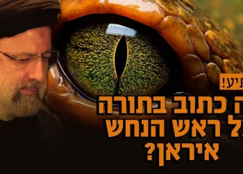 מפתיע: מה כתוב בתורה על ראש הנחש: איראן (פרס)?