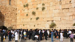 למה נשארים ערים בשבועות?