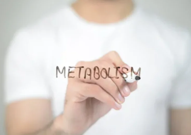 אלו שלושת סוגי המזון שמזרזים את חילוף החומרים בגוף 