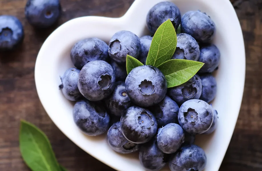 5 היתרונות הבריאותיים של אוכמניות 5 היתרונות הבריאותיים של אוכמניות