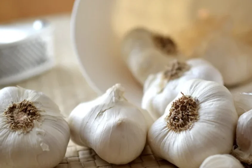 מחקר חדש גילה דבר שלא ידענו על הקשר בין שום לשומן 