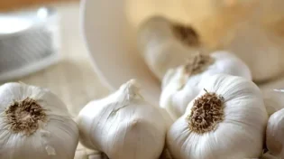 מחקר חדש גילה דבר שלא ידענו על הקשר בין שום לשומן 