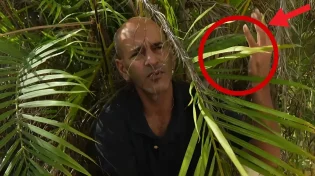 נס: איך בזכות עץ דקל ניצלה משפחה שלמה ב-7 באוקטובר?