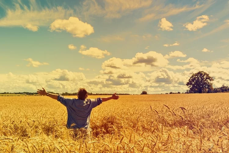12 סגולות לחג השבועות: "הלילה הקדוש"