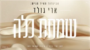 סינגל החתונות החדש של ארי גולד - "שמחת כלה"
