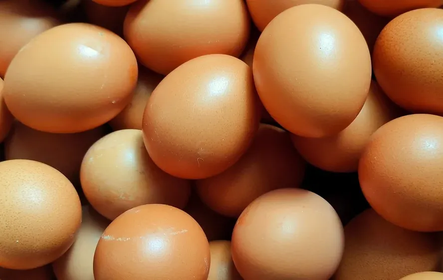 מהי הדרך הנכונה לאכול ביצים בשבת?