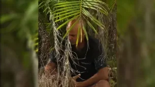 נס גלוי! איך בזכות עץ דקל ניצלה משפחה שלמה מהטבח?