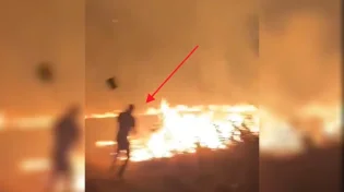 טרור ההצתות: מחבלים שרפו את היער הסמוך ליישוב