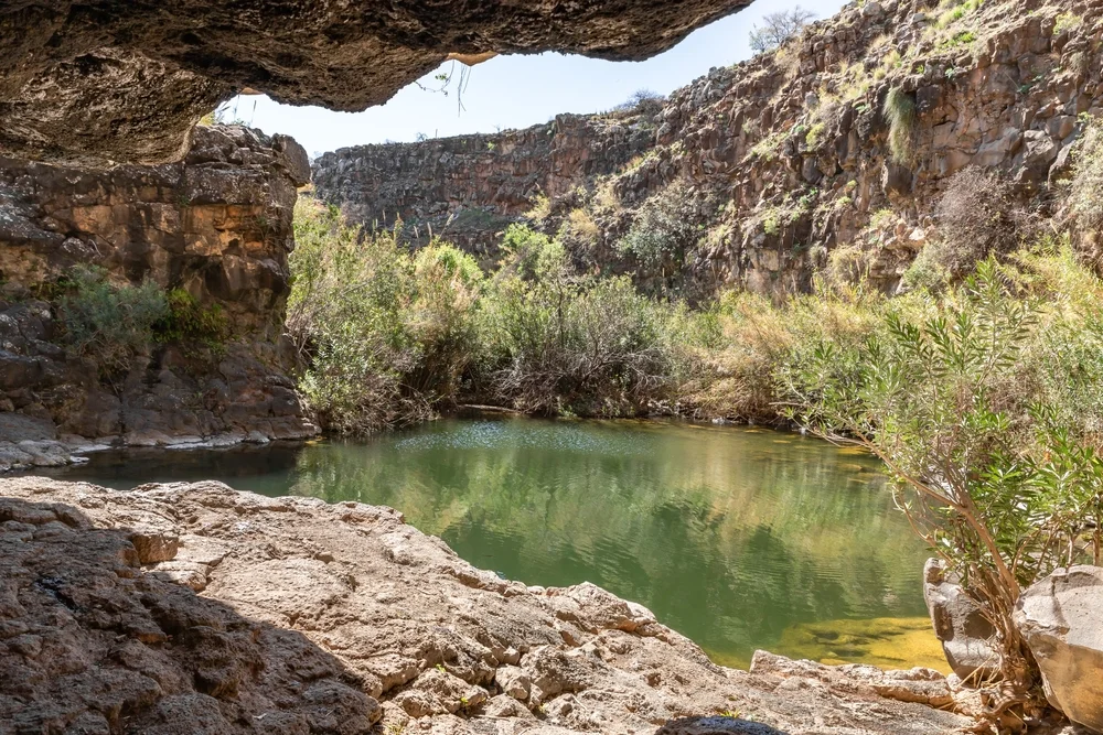 זיהום מים בנחלים בצפון זיהום מים בנחלים בצפון