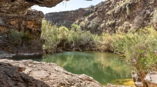 משרד הבריאות מזהיר: זיהום חמור בנחלים בצפון
