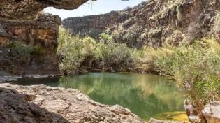 משרד הבריאות מזהיר: זיהום חמור בנחלים בצפון