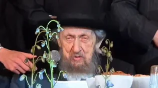 "אחינו כל בית ישראל - הצילו!": מרן הגר"ד לנדו זעק