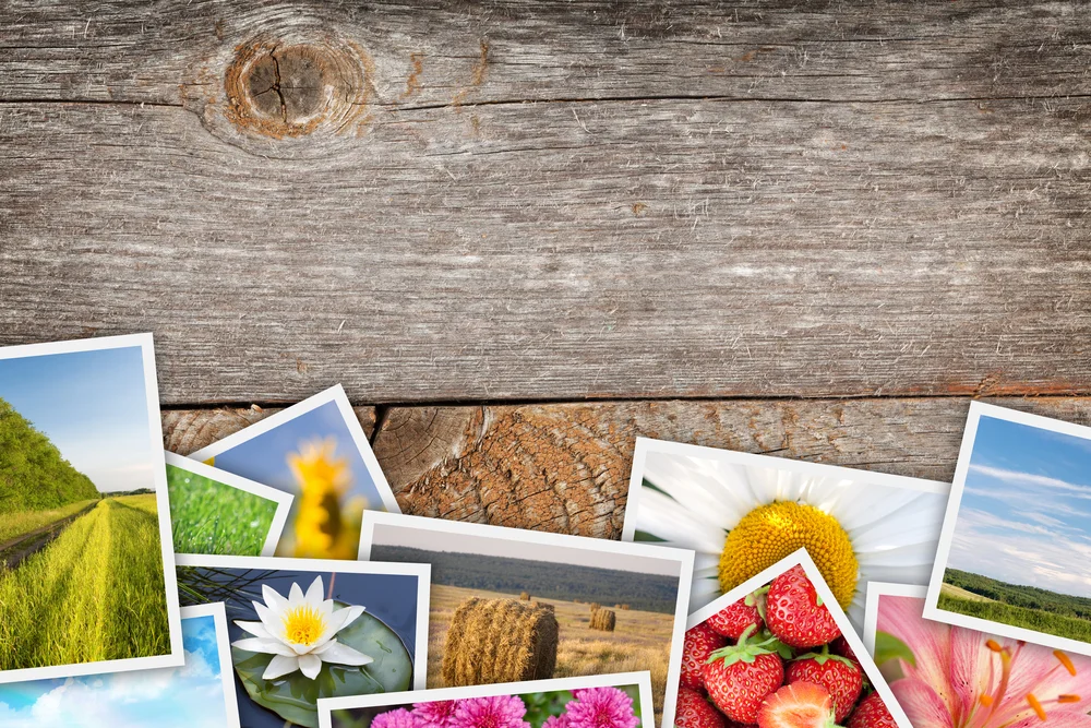 האם מותר לזרוק תמונות?